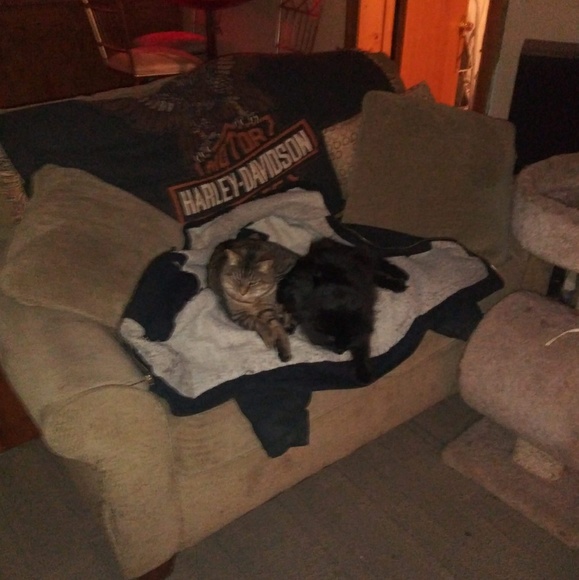 Meet your Posher, Ashley - Picture 1 of 1